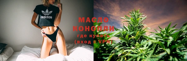 mix Ельня